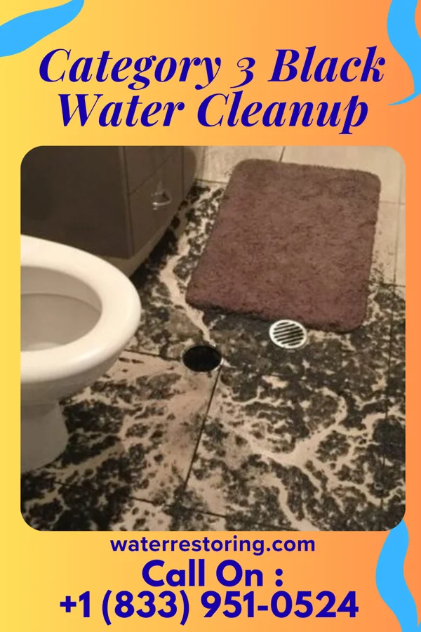 Category 3 Black Water Cleanup in Cedar Point, NC