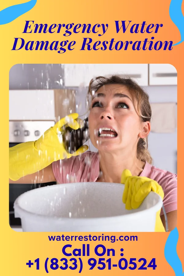 Emergency Water Damage Restoration in Cedar Point, NC