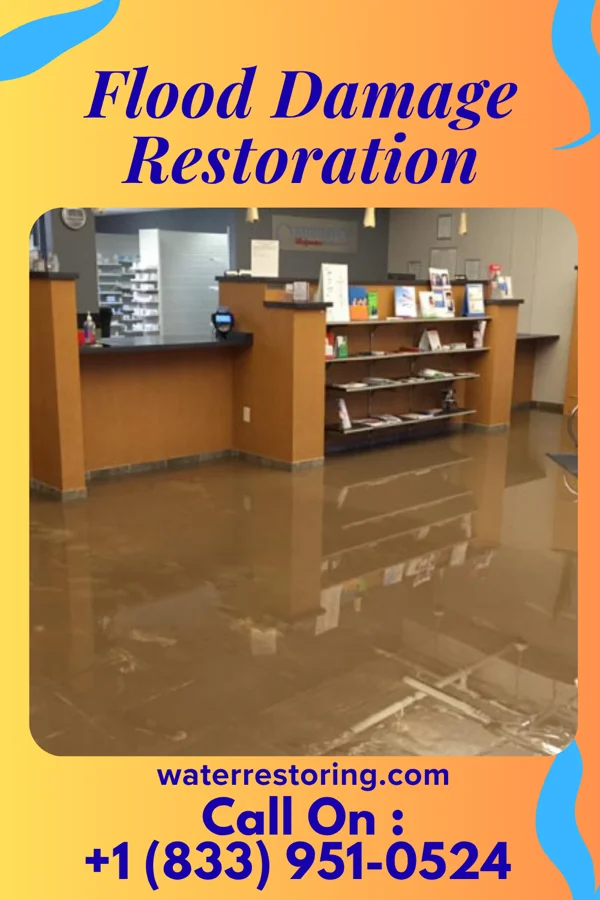 Flood Damage Restoration in Cedar Point, NC