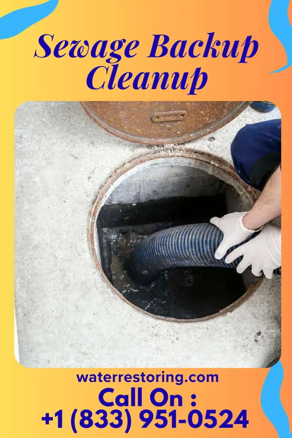 Sewage Backup Cleanup in Cedar Point, NC
