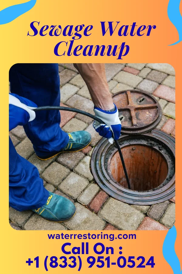 Sewage Water Cleanup in Cedar Point, NC